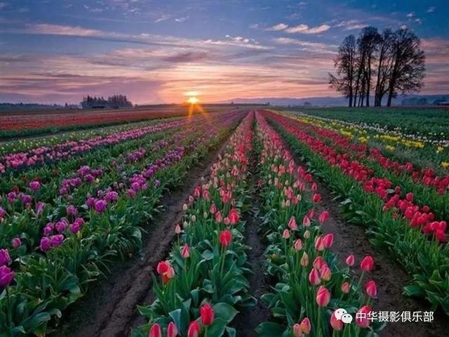 太美了！金奖摄影作品欣赏——