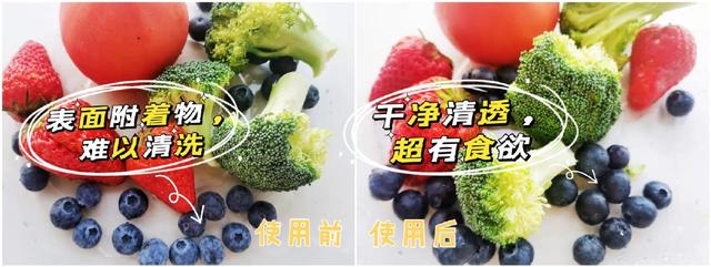 果蔬净化器真的比手洗得更干净？三款热门果蔬净化器对比测评