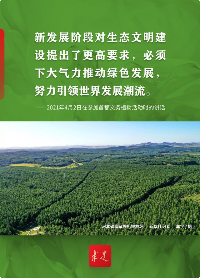 十年树木，总书记深情寄语