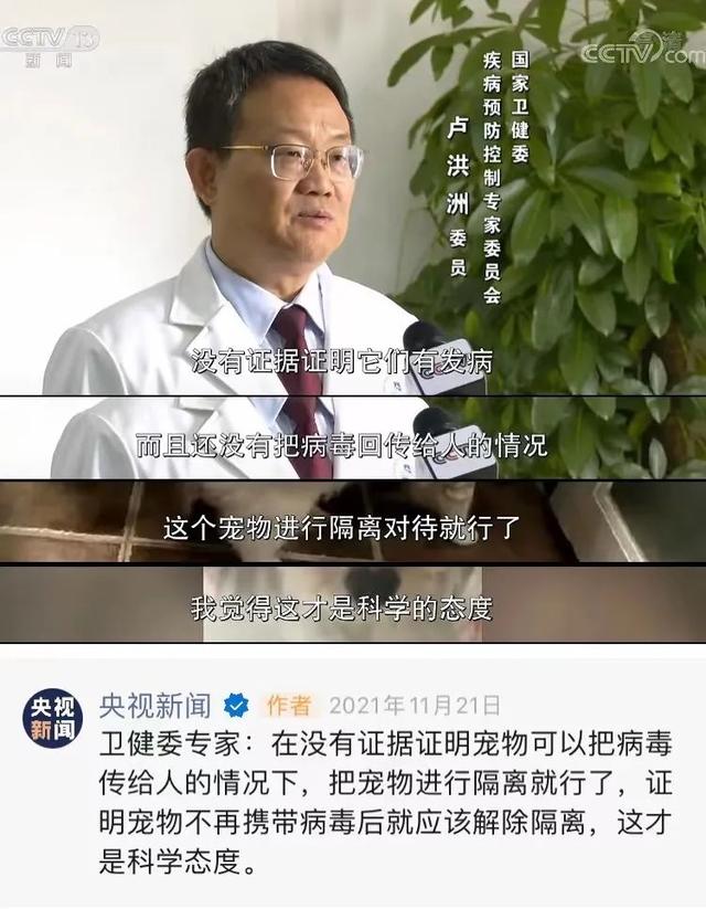 “确诊后，我的猫就要被人道销毁？”