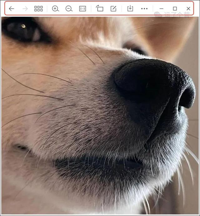 微信怎么知道距离多远-怎么查询微信距离
