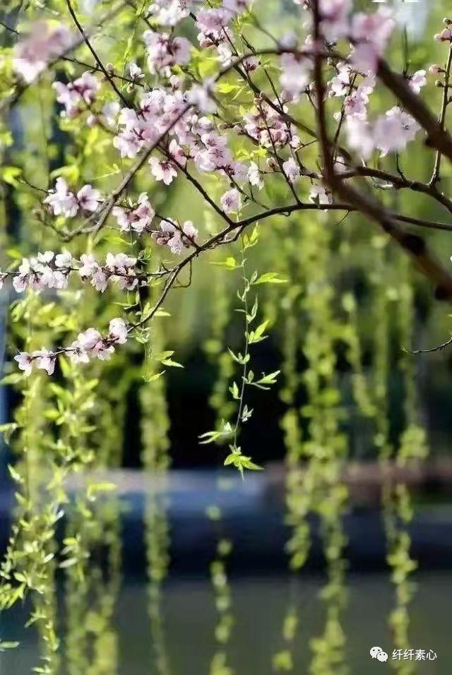 生活不易，互相鼓励