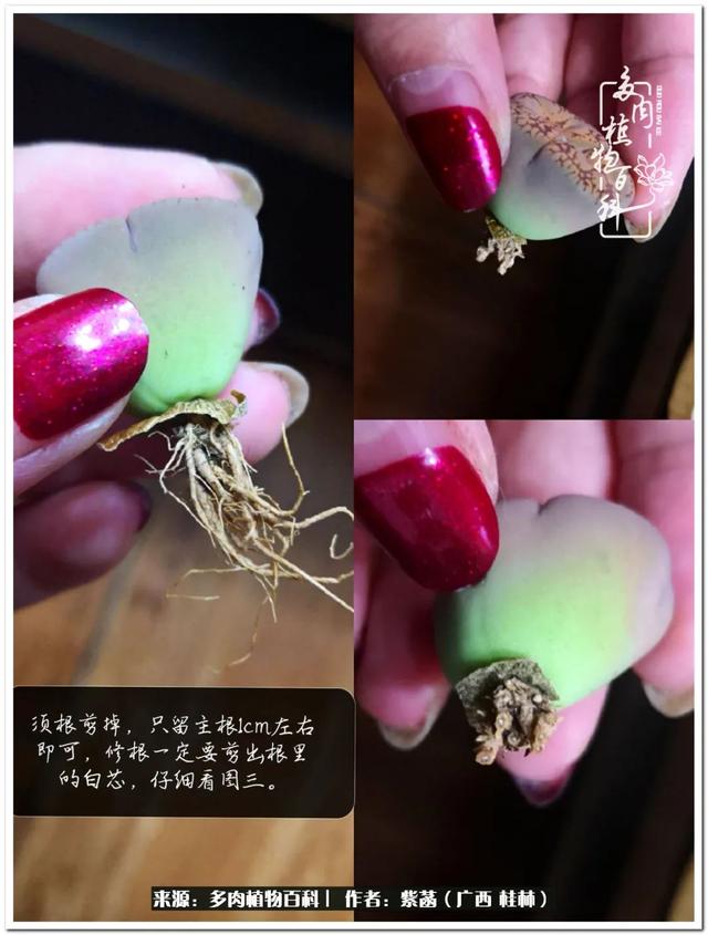 大型制砂机给力富贵机械