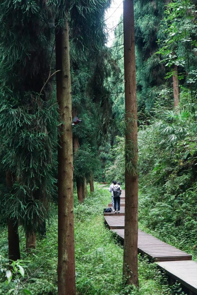 成都周边旅游景点