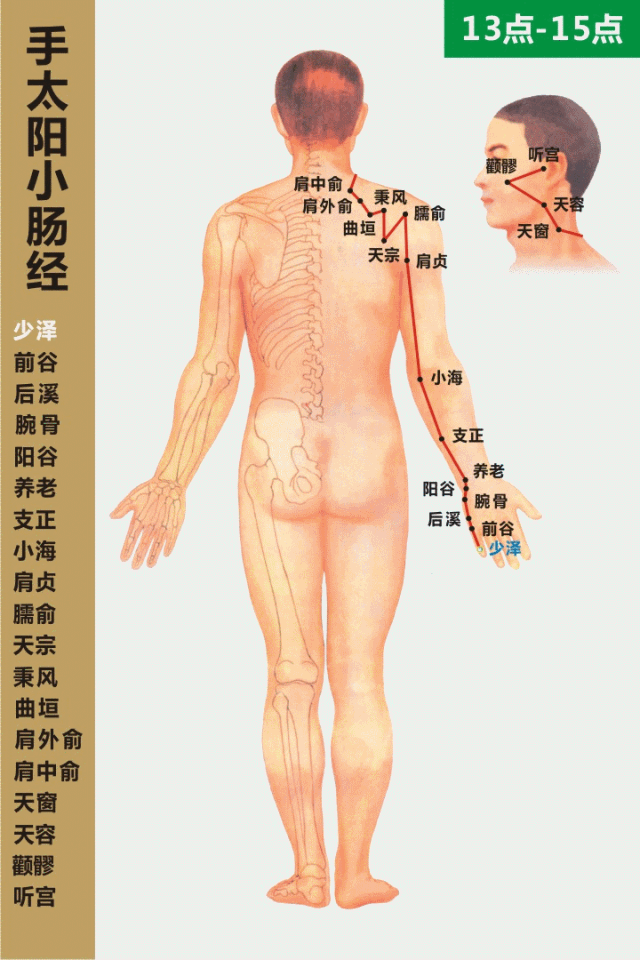 「经络养生」颈椎不好、肩背酸痛的人，要特别注重小肠经的疏通