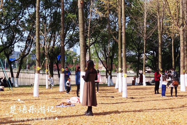 身爲5A景區卻堅持免費，秋色斑斓到處如畫，甯波這個景點讓人驚豔