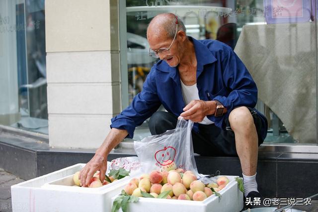 只要一片甲硝唑，桃树长得快，结果多，香甜色泽好，增产又增收20