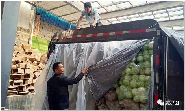 愤怒！众多城市支援上海竟然毫无热度？我们上海人不答应
