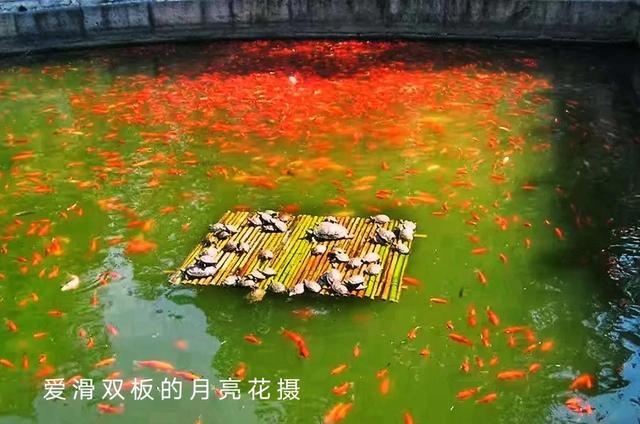 遊京郊臥佛寺隨感