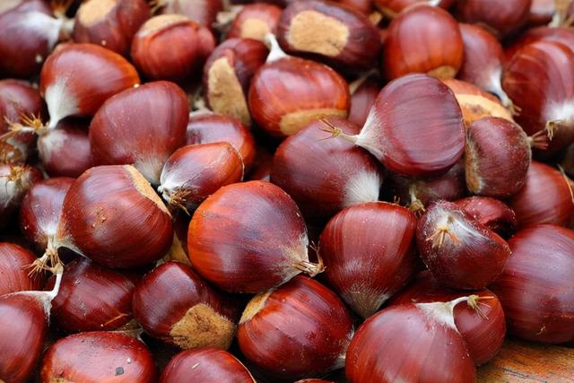 “暖身”的食物有哪些？这5种功效较好，韭菜上榜