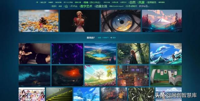 送你10个良心好用的硬核黑科技在线工具，每一个都值得收藏保存