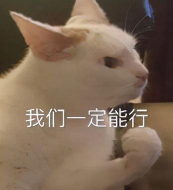 幼儿园教“拼音”“数学”遭举报，人类幼崽在幼儿园都学了啥