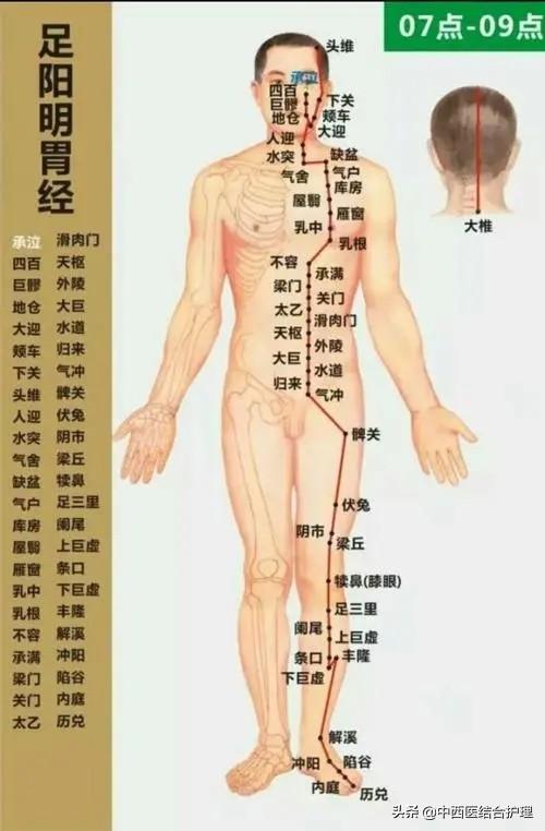 「穴位养生」改善消化系统功能的重要穴位