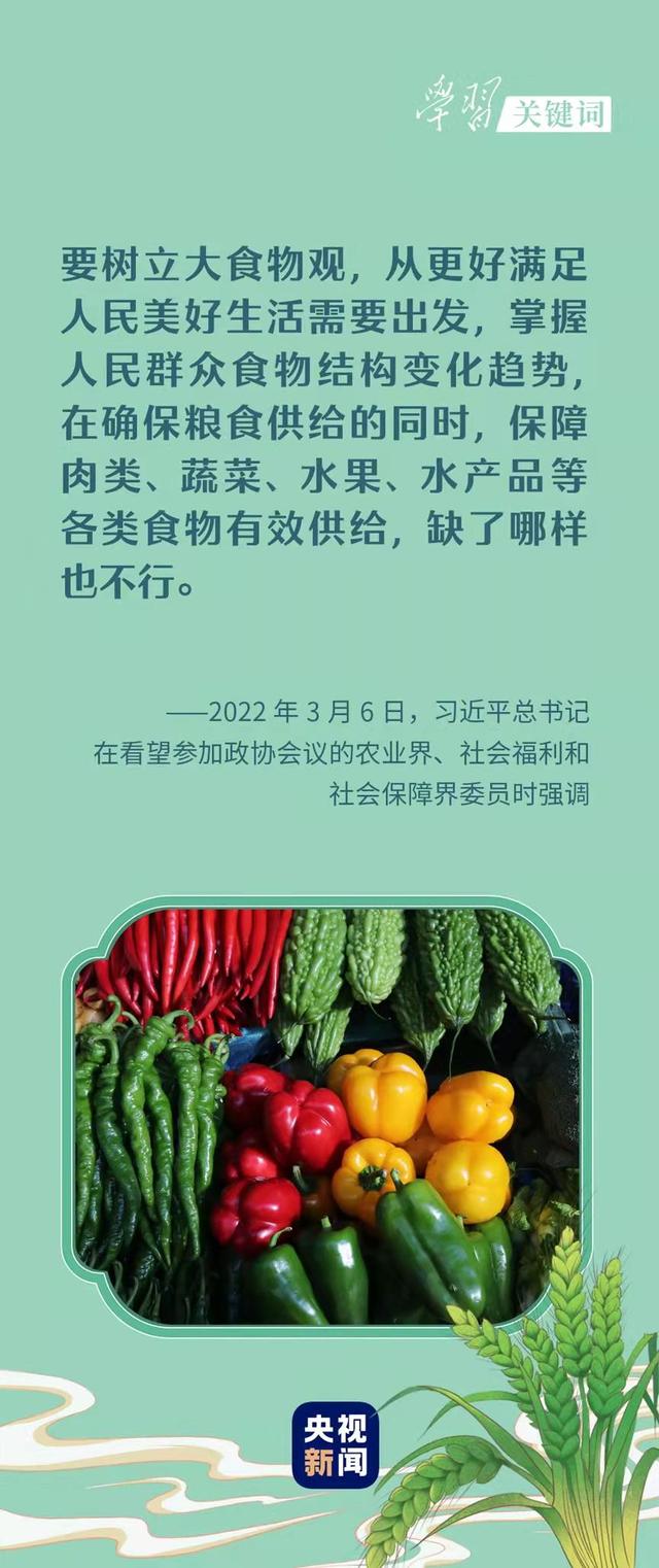 春事看农桑 |“大食物观”托起“舌尖幸福”