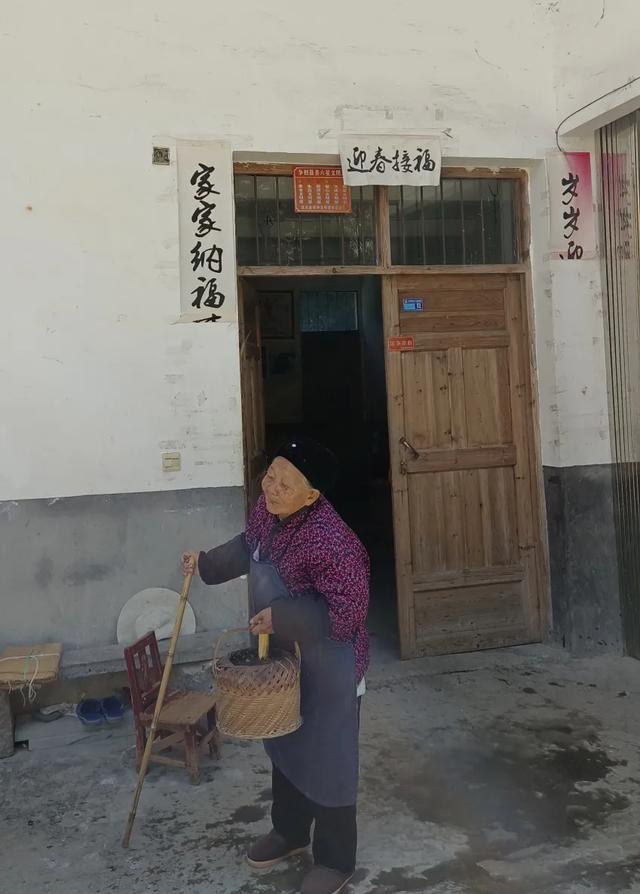 慶元村落｜壩頭村 · 千年古村藏深閨 靜候貴客探新顔