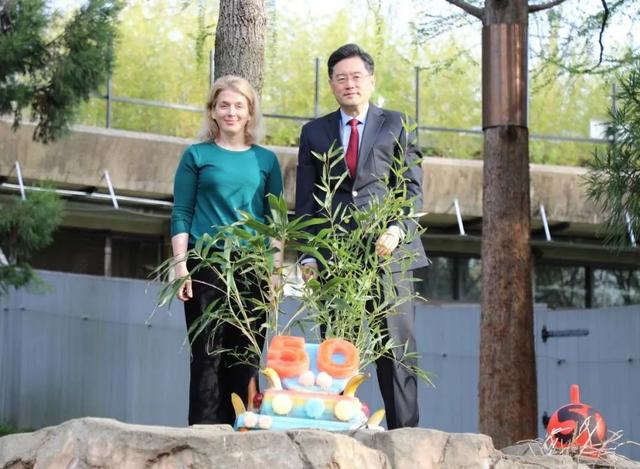 时间表出炉！今年我国将实施6次飞行任务【看世界·新闻早知道】