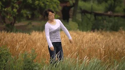 脑瘫诗人余秀华：花15万离婚，等27年终于睡到对的人