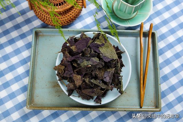 慢性咽炎？送你五味中药，行气散结，化痰降逆，助你清清嗓