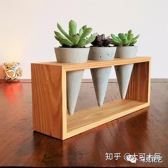 绿植养护