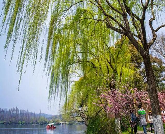春天的雨季