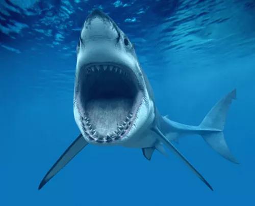 家里有不爱睡觉的宝宝，看这本书！新书上架