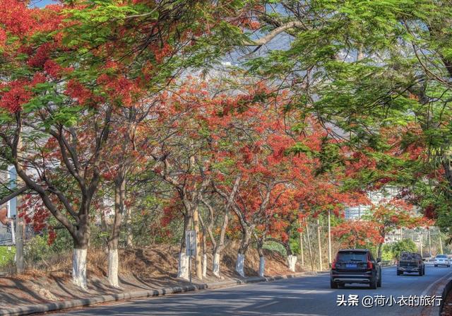 中國最適合北方人過冬的4座城市，空氣好風景佳美食多，適合養老