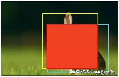 稀疏&集成的卷积神经网络学习