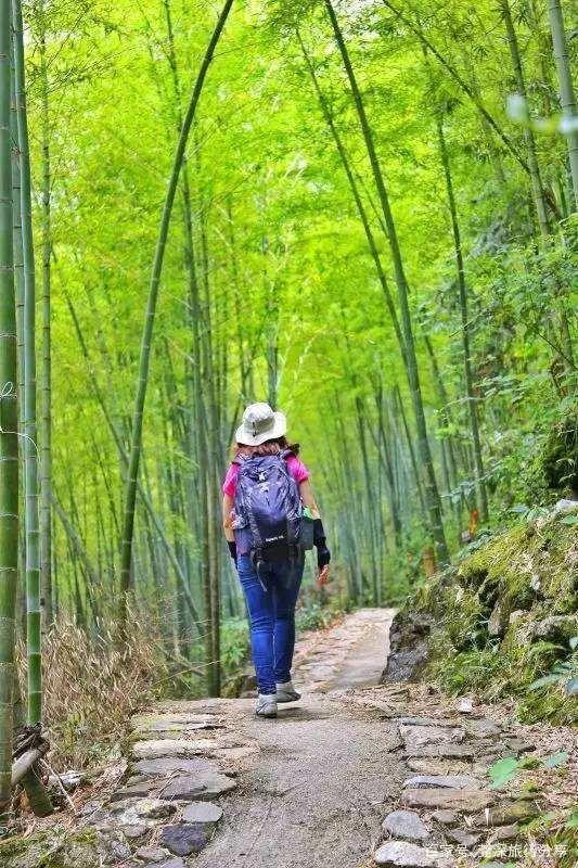 广州适合公司团建旅游的地方