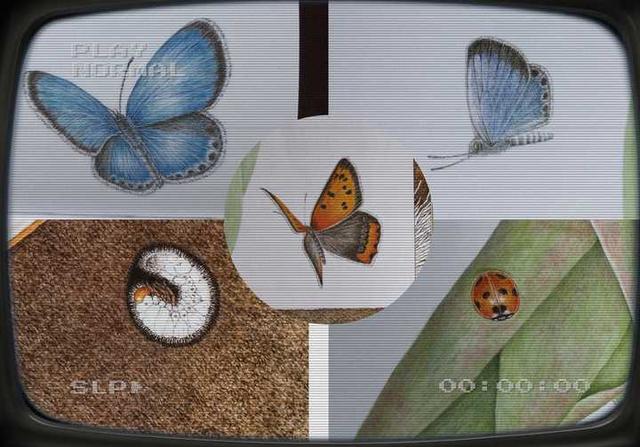 有哪些适合3岁孩子阅读的科普绘本？