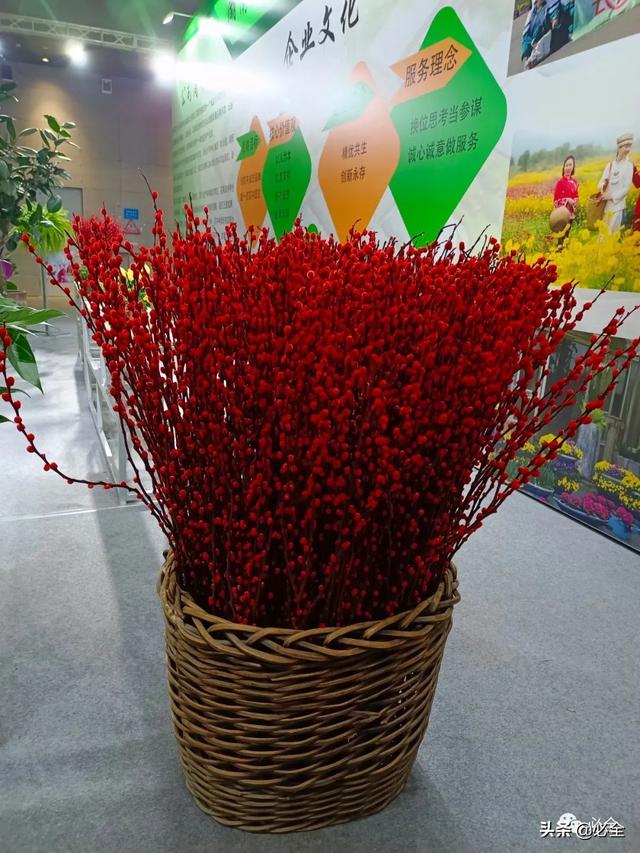值得参加的园林机械展