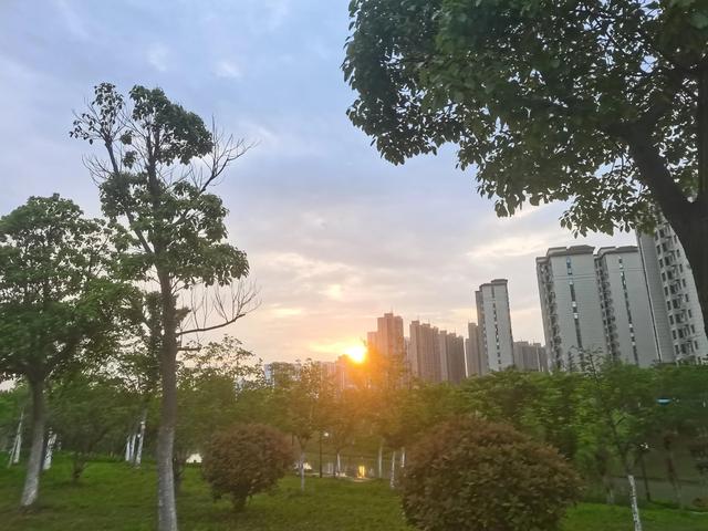 夏天三宝——竹凉席，芭蕉扇，蚊帐的年代