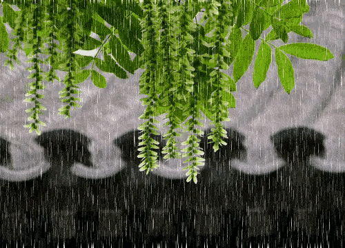 天气预报：明日（11号）新一轮强降雨来袭，立夏后还冷？农谚咋说
