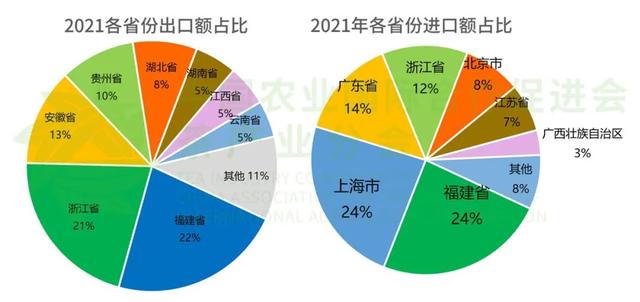 福建茶叶股票龙头「茶叶外贸出口公司」