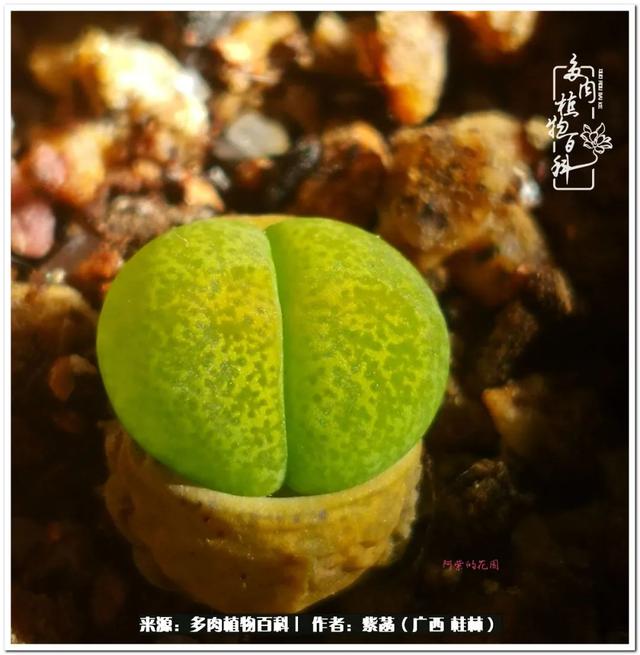 大型制砂机给力富贵机械