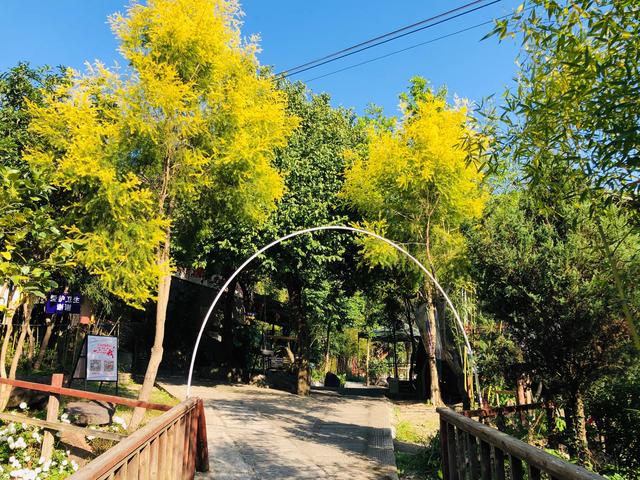 福建福州五虎山∣∣冬日虎山行