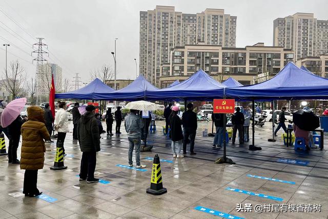 https://blog.sina.com.cn/s/blog_9766a3620102yz2e.html