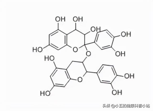 原花青素是维护健康的营养物质之一，不必吃药，补充5种水果即可