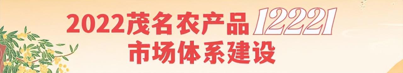 荔枝 直播(荔枝直播间现场直播)