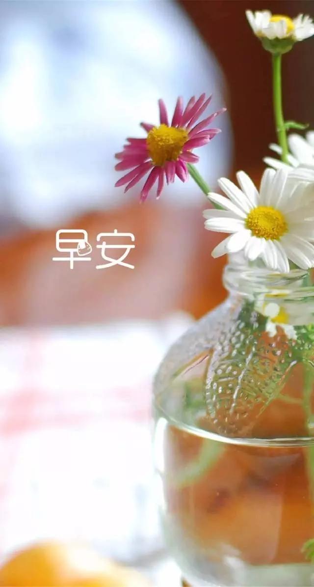 致自己—每日一言（第89日）