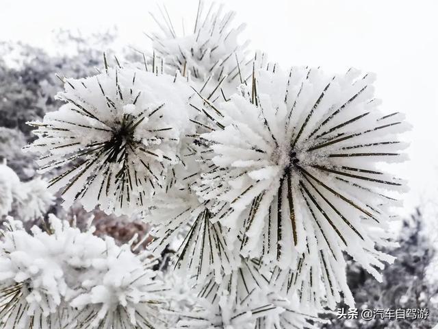 襄阳螺旋洗砂机二手价格