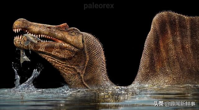 外国艺术家画了67种奇特逼真的史前动物 真是令人大开眼界 新闻时间