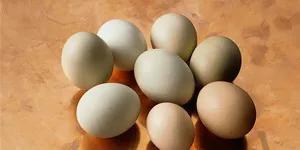 生活小窍门生鸡蛋怎么长时间保存才不会坏掉呢,怎么保存鸡蛋最好啊