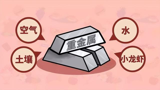 同样是啤酒，“瓶装”和“罐装”有什么区别？一文为你解答