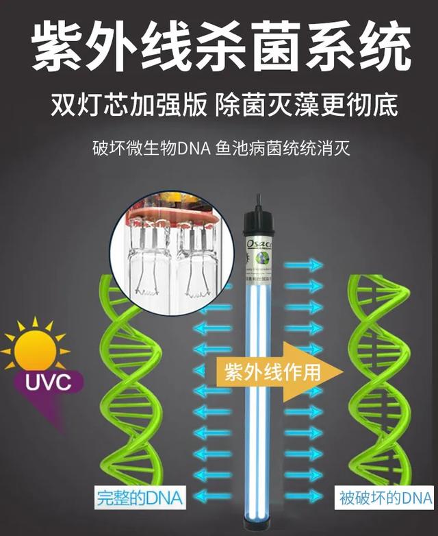 锦鲤过滤机