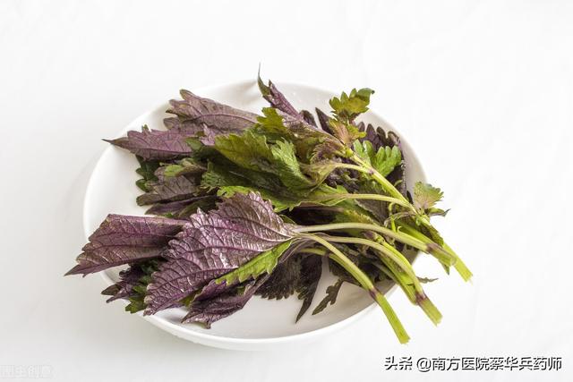 最简单的祛痰方子！只要学会巧妙运用，就没祛不掉的痰｜建议收藏