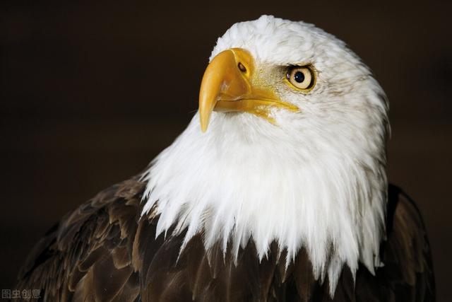 俄罗斯打算绕过SWIFT支付系统，对我们对抗美国霸权有什么启发