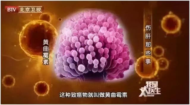 榨油花生油那款过滤机好用