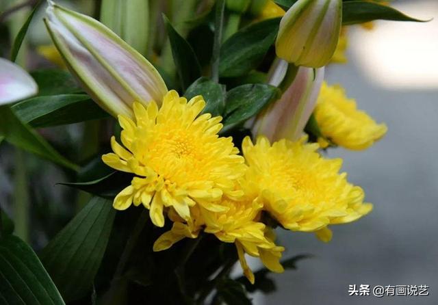 清明祭祖跪拜，讲究“叩四不叩三”，少一个也忌讳
