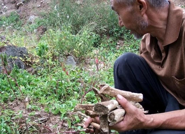 宜昌沙场洗砂机图片