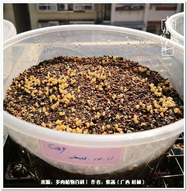 郑州新型泥土洗砂机